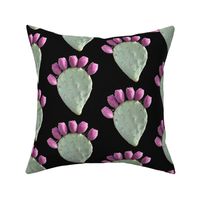 prickly pear with berries - black