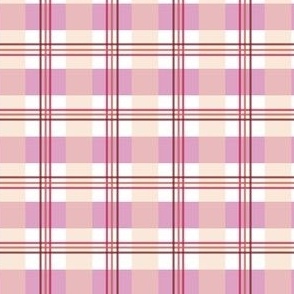 Blush Double Plaid