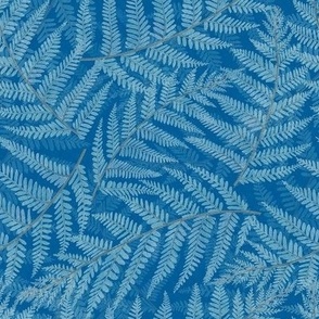 Silver Fern,  Blue