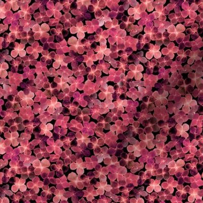 Scattered Burgundy Blossoms-mini