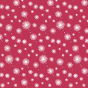 Dandelions  in Viva Magenta