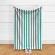 2" (5cm) Cabana Stripe Awning Stripes Retro Light Teal and White