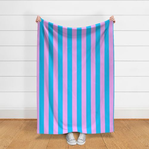 large awning stripes_pastel pink and sky blue