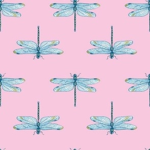 Dragonfly blue pink