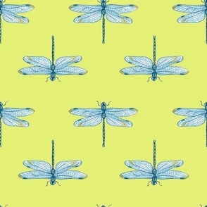 Dragonfly blue green