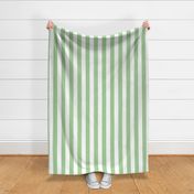 Small - 2" wide Awning Stripes - Pastel Celadon Green - White