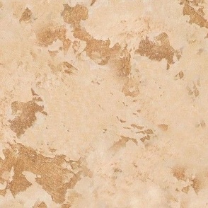 Skip Trowelled faux finish