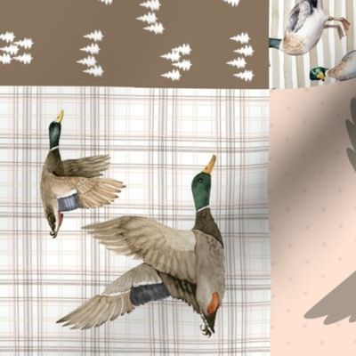 Mallard Duck Blush Patchwork Rearranged