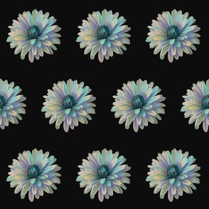 chrysanthimum.blues-01