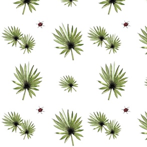 Palmetto Frond 