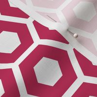 Hexagons Pink