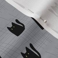 Black Cats on Gray