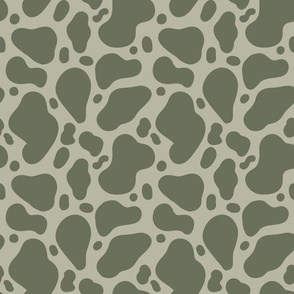 Stony Animal Spots