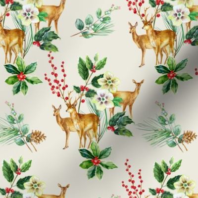 Winter Deers And Holly Plants / Mist White background