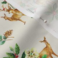 Winter Deers And Holly Plants / Mist White background