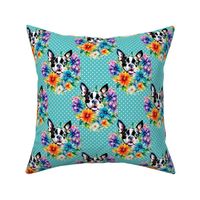 Bigger Boston Terrier Dog Bright Flowers And Polkadots Blue