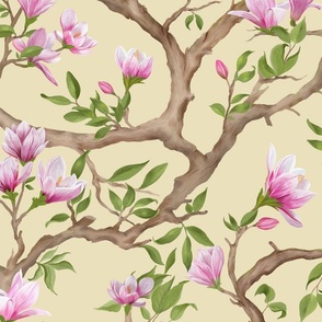 Magnolia tree