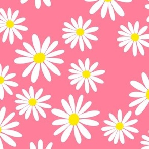 White Daisies, Pink 