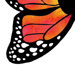 Monarch Butterfly Wings