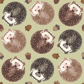 Hedgehog Scatter sage