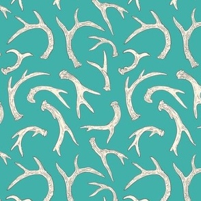 Antlers Aqua