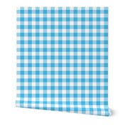 Turquoise and white, gingham check print 6 checks per inch