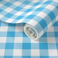 Turquoise and white, gingham check print 6 checks per inch