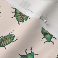 Oolong beetles on pale pink