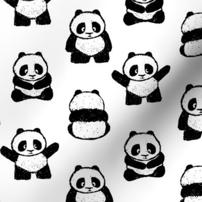 pandas on white || pandamonium