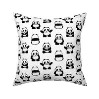 pandas on white || pandamonium