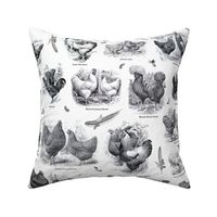 Poultry Envy White Black Toile 