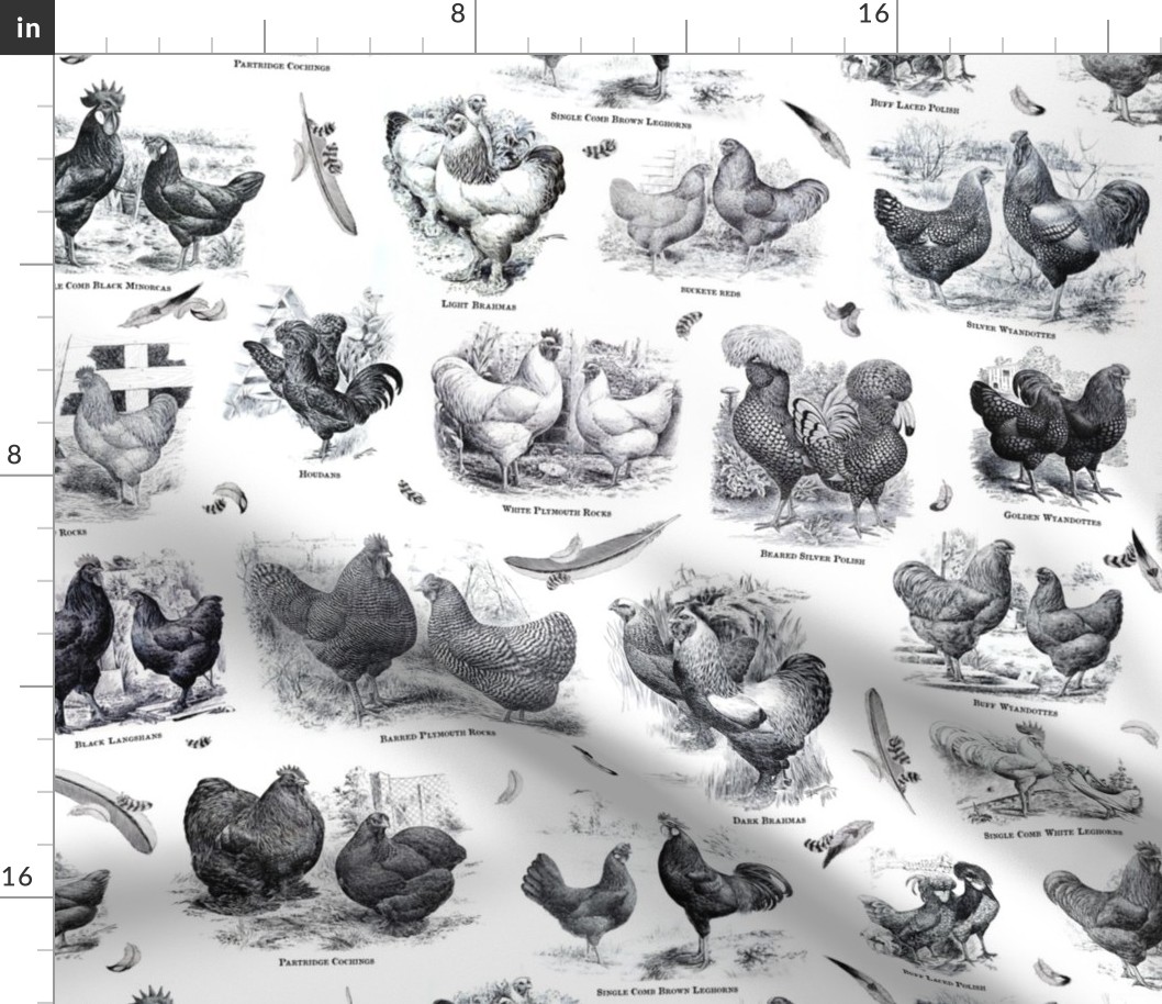 Poultry Envy White Black Toile 