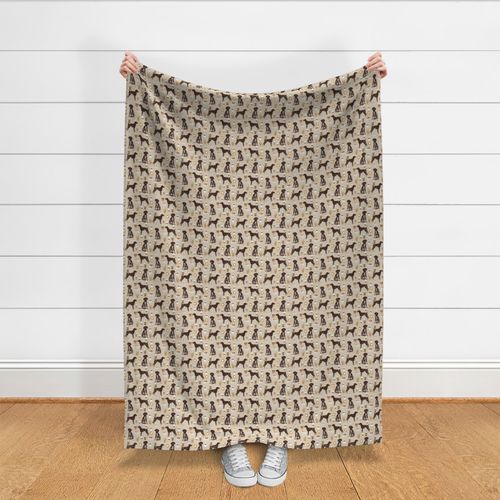 german shorthaired pointer coffee fabric design cute dogs fabric dog design