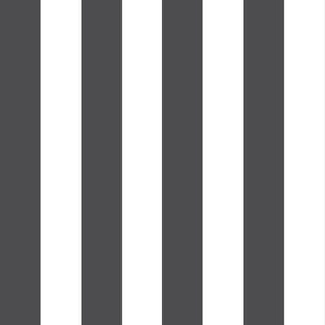 Large Charcoal Stripes