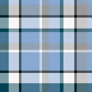 Meteorite Plaid, Blue