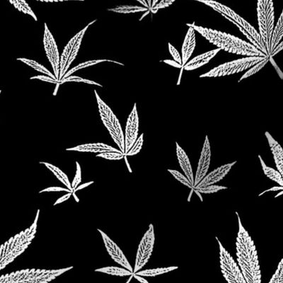 Marijuana, Black and White