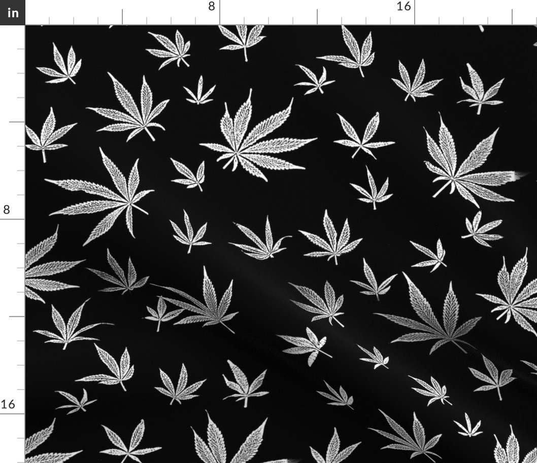 Marijuana, Black and White