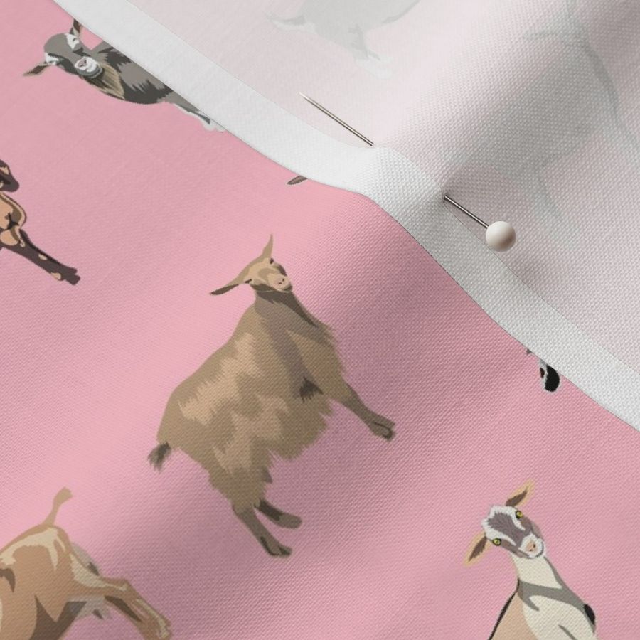 goats fabric - goat wallpaper, goat fabric, goat breeds, farm, farm animals fabric - pink