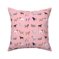 goats fabric - goat wallpaper, goat fabric, goat breeds, farm, farm animals fabric - pink