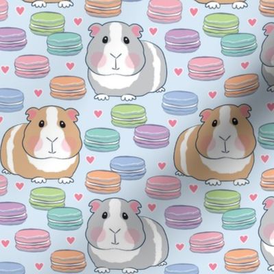 guinea pigs and macarons on soft blue