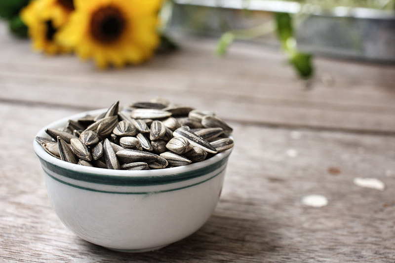 A close up of a small ceramic bowl containing freshly harvested sunflower seeds with the shells still intact, set on a wooden surface with yellow flowers in soft focus in the background.