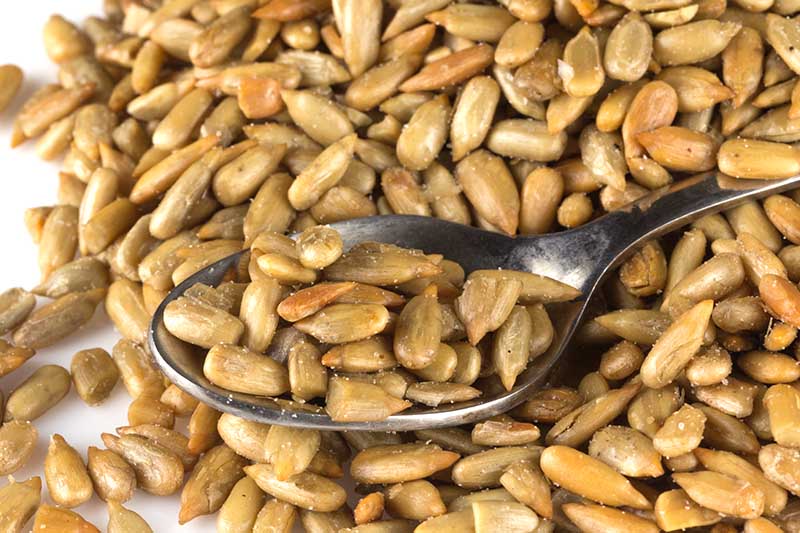 A close up of a metal spoon scooping up roasted and salted sunflower seeds from a pile placed on a white surface.