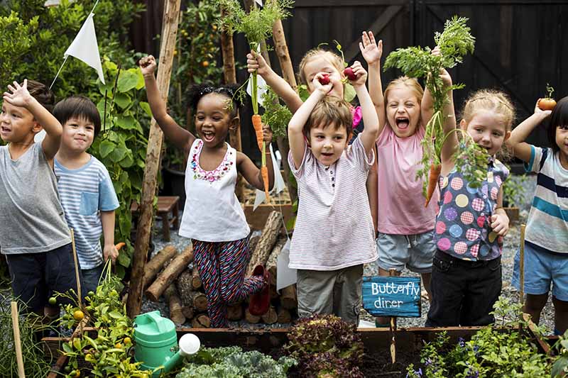 A close up horizontal image of a group of children harvesting vegetables from a raised bed garden.