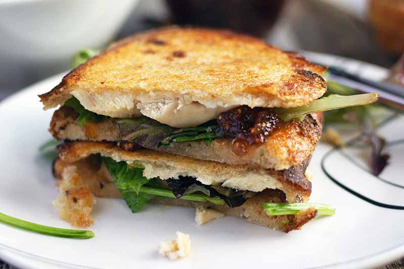 A close up horizontal image of a homemade panini set on a white plate.