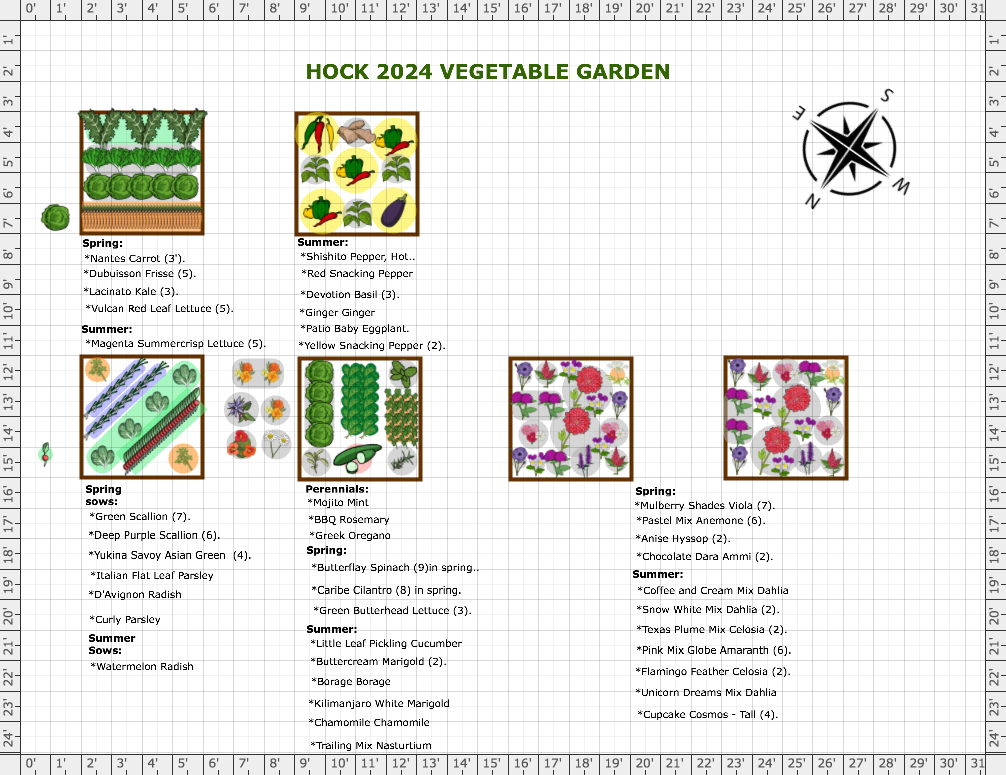 Garden Plan - 2024: Hock