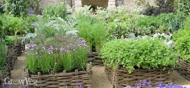 Formal herb garden