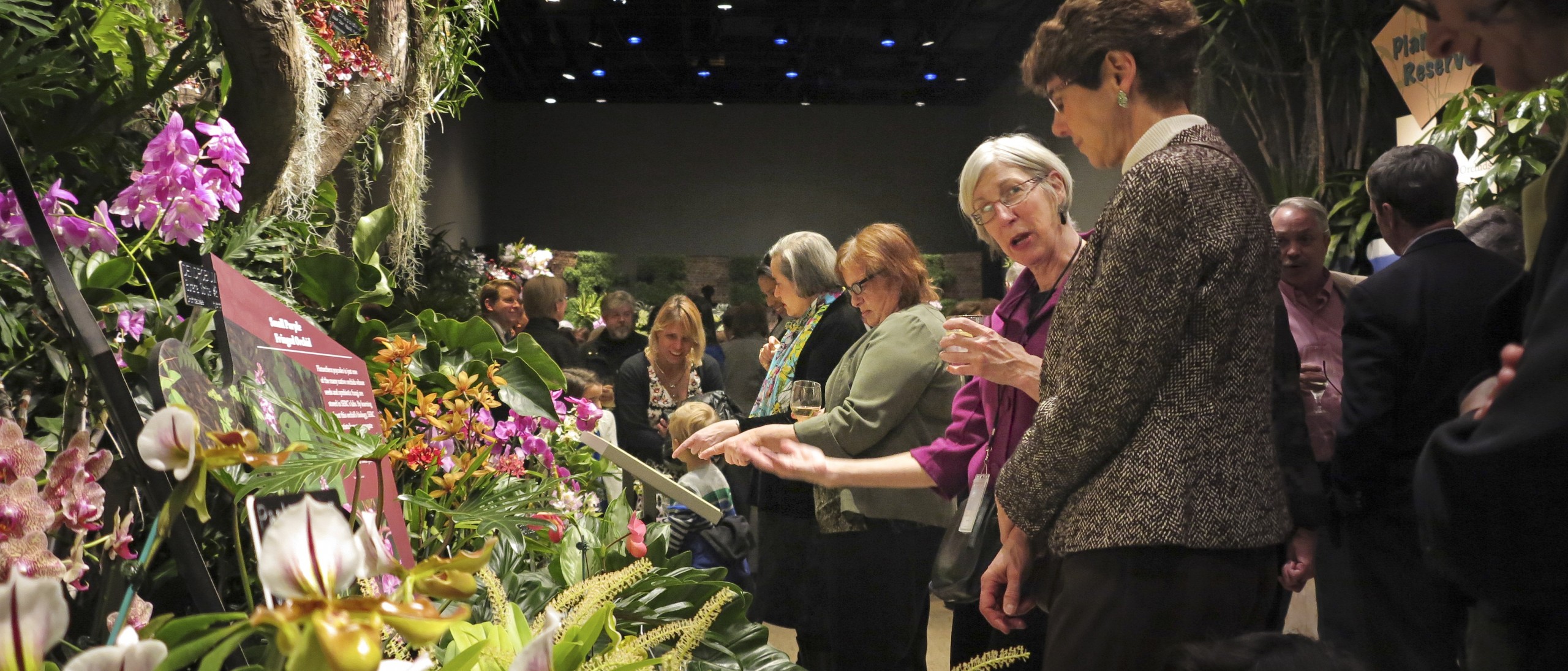 Two women examining a group of orchids in indoor orchid exhibit with other visitors in background