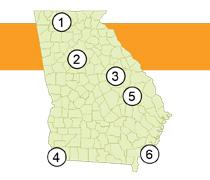 Georgia's Surprising 6