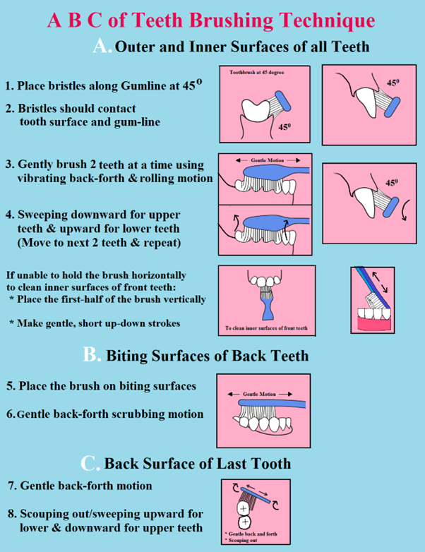 10 Tips for Mastering the Correct Brushing Technique for a Healthy ...