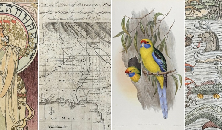 Antique Prints, Maps, Books & Botanicals at Trillium Antique Prints, USA